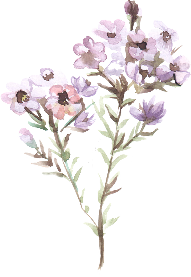 Watercolor Flowering Plant